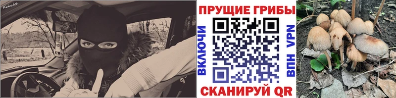 Псилоцибиновые грибы Cubensis  Новочеркасск 